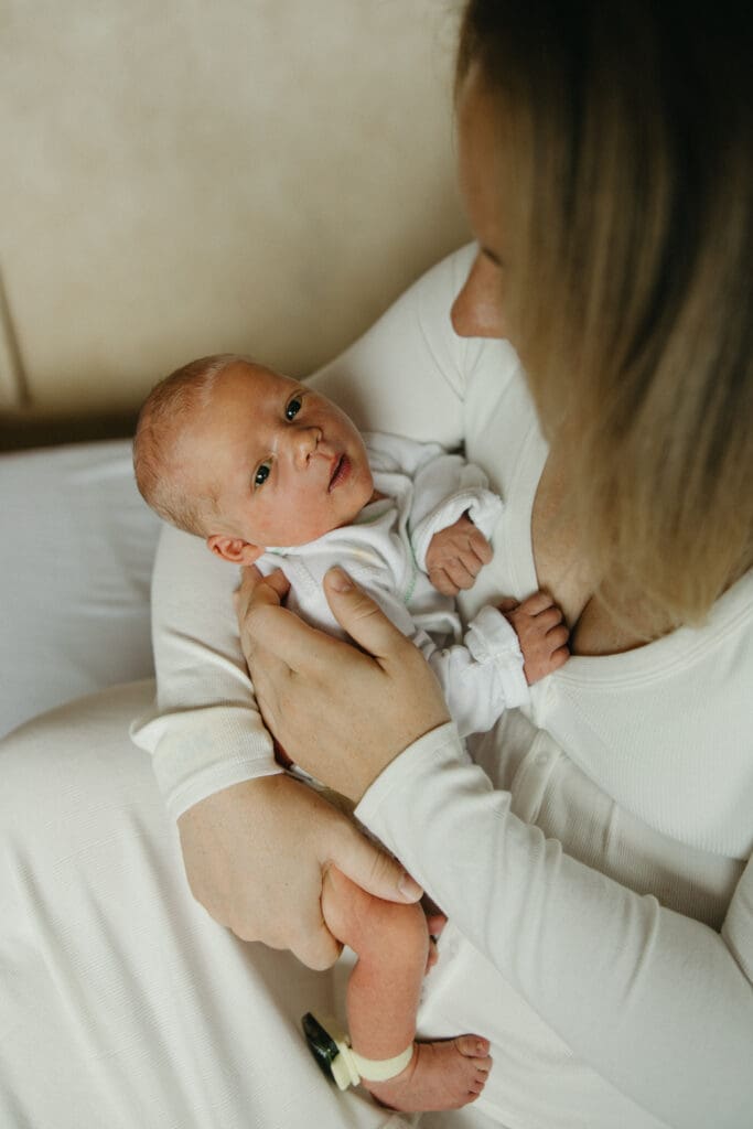 Fresh 48 Morristown, new jersey